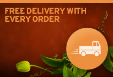 Free Delivery