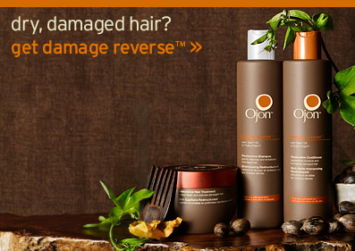dry damaged hair get damage reverse