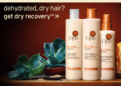 dehydrated dry hair get dry recovery