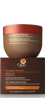 Damage Reverse Restorative Hair Treatment
