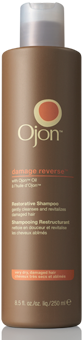 Damage Reverse Restorative Shampoo